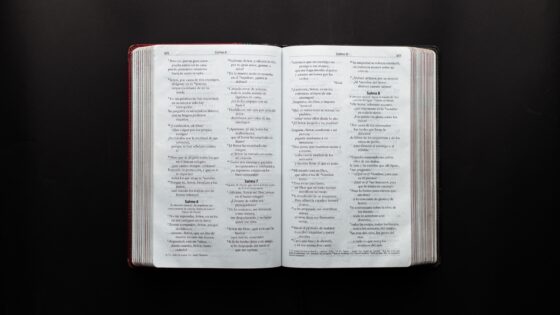 Frases bíblicas para reflexionar sobre la vida En un mundo lleno de tanta confusión, nuestra única guía es la palabra de Dios;