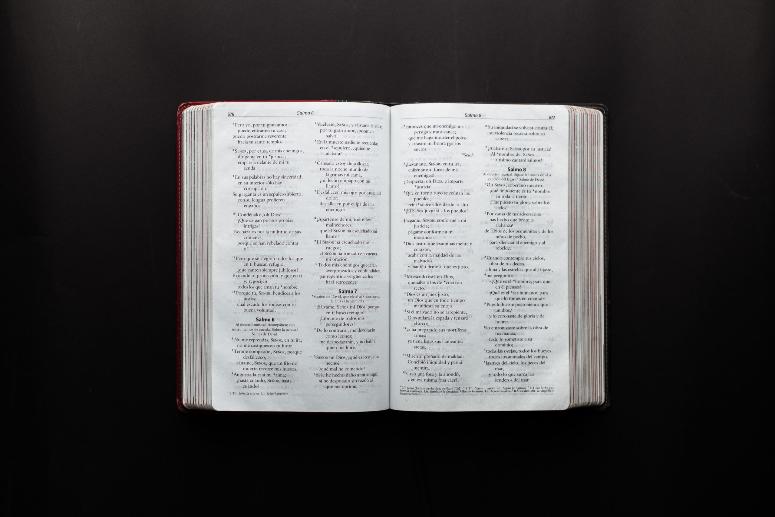 Frases bíblicas para reflexionar sobre la vida En un mundo lleno de tanta confusión, nuestra única guía es la palabra de Dios;