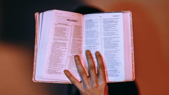 Leyendo la Biblia